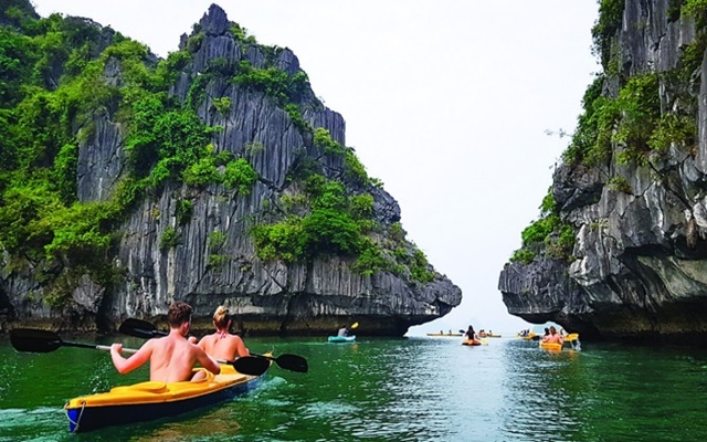 Tour du lịch Vịnh Lan Hạ tự túc mùa hè có gì hấp dẫn?