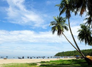 Xã đảo Tam Hải – Hòn đảo xinh đẹp ít ai biết đến tại Quãng Nam Xã đảo Tam Hải – Hòn đảo xinh đẹp ít ai biết đến tại Quãng Nam