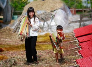 Tham quan làng chiếu Định Yên – làng nghề trăm tuổi nổi tiếng Miền Tây Tham quan làng chiếu Định Yên - làng nghề trăm tuổi nổi tiếng Miền Tây